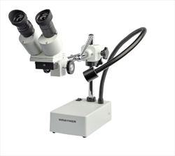 Kính hiển vi soi nổi Wraymer SW-401L